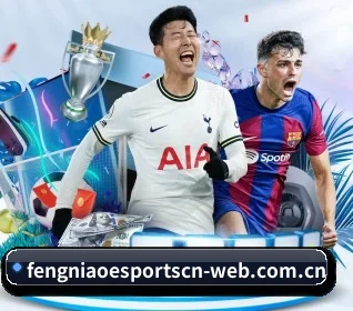 蜂鸟电竞的方向 | Fengniao Esports